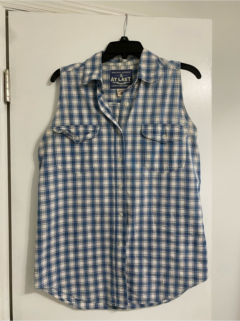 Vintage Western Cowgirl Blue and White Plaid Sleeveless Button-Up Top